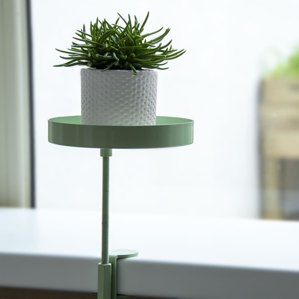 Esschert Design Δίσκος Φυτών με Σφιγκτήρα Στρογγυλός Πράσινος S