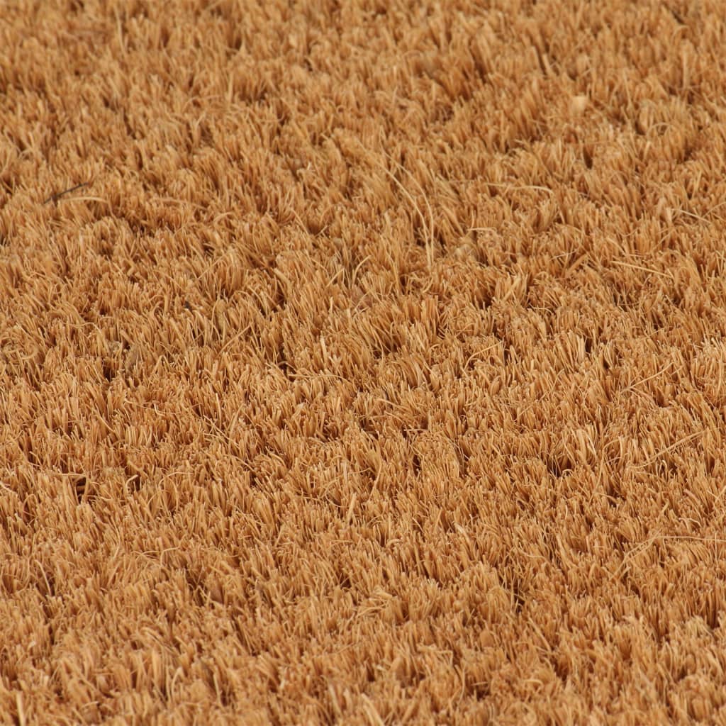 vidaXL Πατάκι Εισόδου 5 τεμ. Φυσικό 40 x 60 εκ. Θυσανωτός Κοκοφοίνικας
