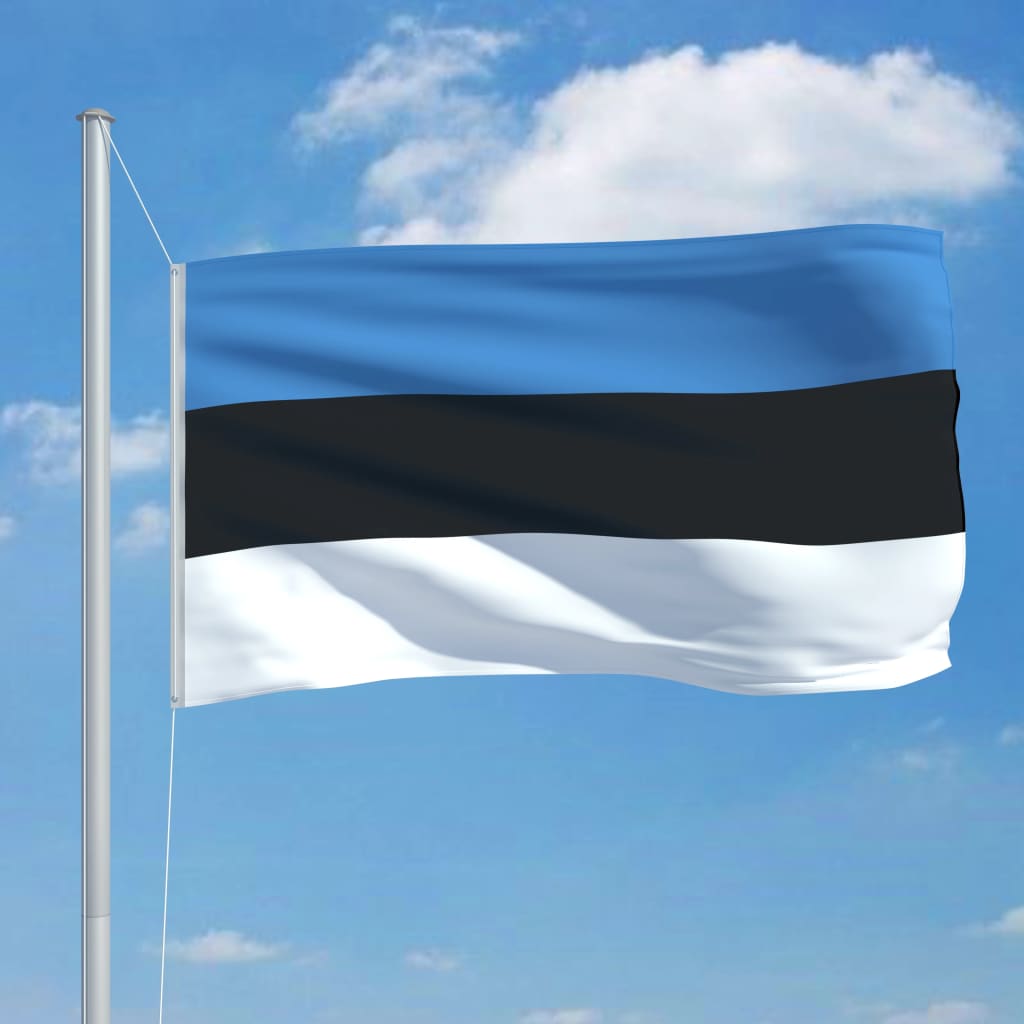 vidaXL Σημαία Εσθονίας 6,2 μ. με Ιστό Αλουμινίου